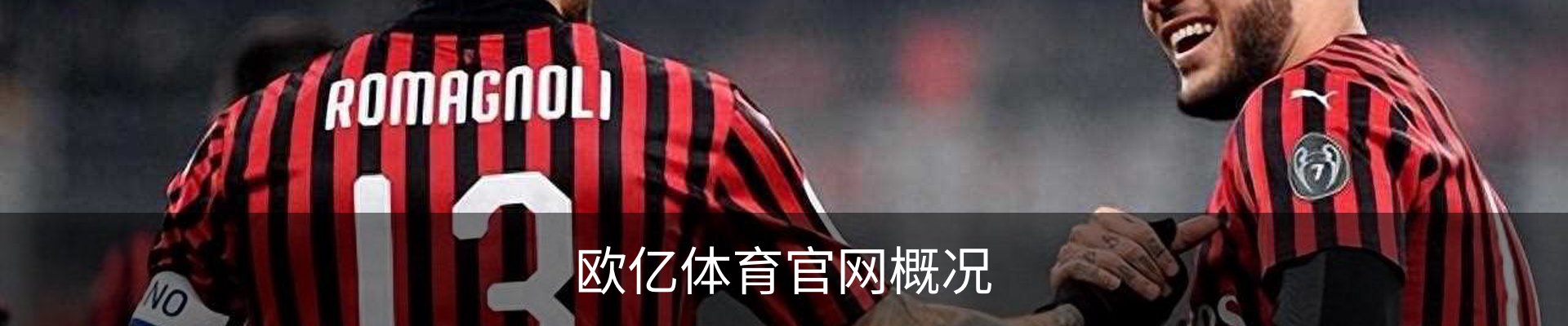 欧亿体育官网概况